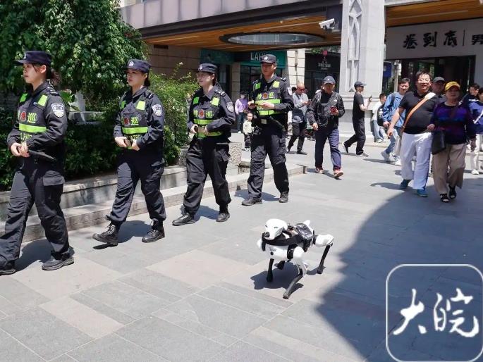 芜湖：机器警犬首“上岗”助力“五一”安保